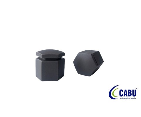 BİJON KAPAĞI KÖMÜR METALİK 17X23mm CORSA C-D-E. ASTRA G-H. ZAFIRA.MERIVA.ADAM