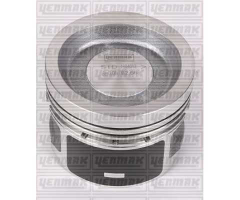 MOTOR PİSTON SEGMAN LGN- 2.0 F3R 722 94-03 STD