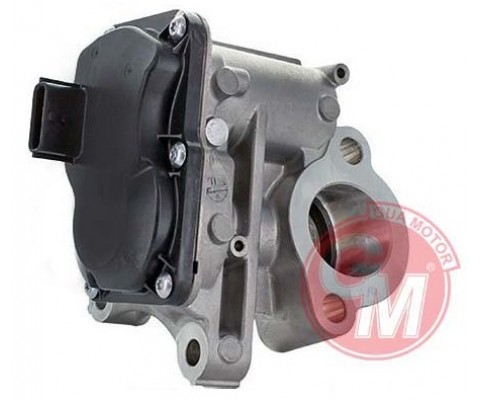 EGR VALFİ MEGANE3-4-SCENIC 3-4-TRAFIC 3-FLUENCE-ESPACE 1.6DCI-QASHQAI II-X-TRAIL-VIVARO B-VITO