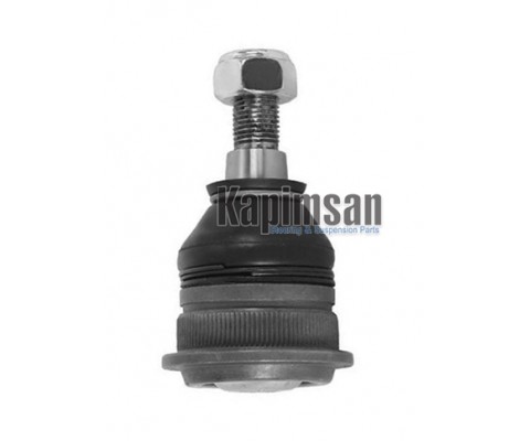 ROTİL ALT SAĞ/SOL HYUNDAI ACCENT 95-05/ ELANTRA 96-00/ GETZ 02-/ İ20 08-/ İ30 11-/ MATRIX 01-/ SONAT A 94-98/ KIA CERATO 04-/ RIO 11-/ PICANTO 04-11/ MITSUBISHI CARISMA / LANCER 03- / VOLVO S40