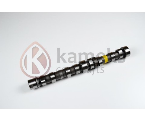 EKSANTRİK MİLİ EGZOZ BIPPER 10 NEMO 10 DOBLO 10 EGEA 16 PUNTO 12 500 L 12 95BG 1.3 JTD EURO5 DOKUM