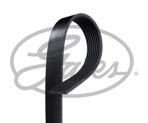 KANALLI KAYIS MERCEDES W463 X164 W164 W221 W251