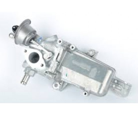 EGR SOGUTUCUSU TRAFIC III 15 MEGANE IV 15 TALISMAN 15 SCENIC IV 15 1.6dCi