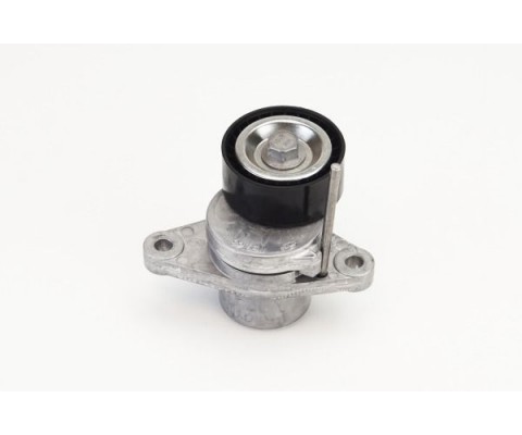 ALTERNATÖR GERGİ RULMANI KÜTÜKLÜ RENAULT LAGUNA III 07 15 DACIA DOKKER 12 DUSTER 10