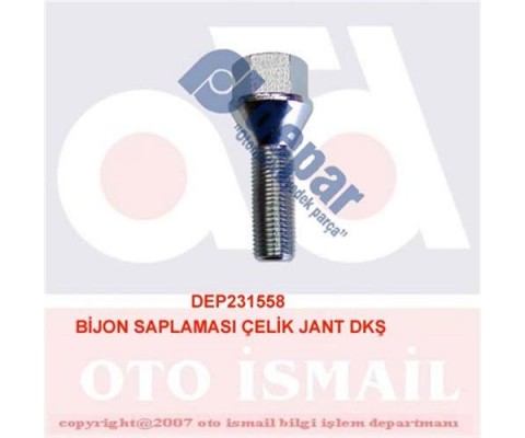 BİJON SAPLAMASI DKŞ ÇELİK JANT