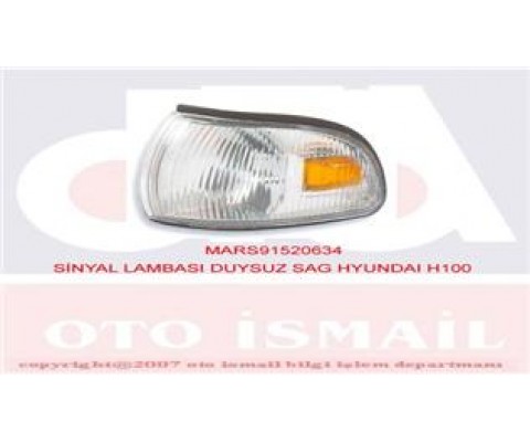 SİNYAL LAMBASI DUYSUZ SAG HYUNDAI H100