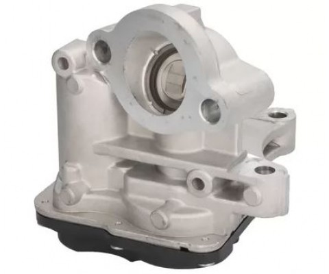 EGR VALFI MERCEDES OM626 OM622 W205 W447 . RENAULT R9M 1.6 dCi MEGANE TRAFIC KADJAR TALISMAN