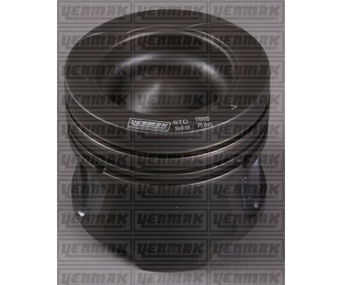 PISTON SEGMAN STD QASHQAI 1.5 DCI EURO4 K9K 106 HP 76.00 MM