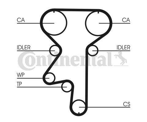 TRİGER KAYIŞI 176x240 OPEL VECTRA A ASTRA F 2.0 16V 1.7D 8V 5368XS