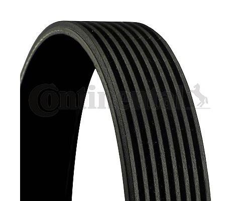 8PK1545 Multi V-Belt